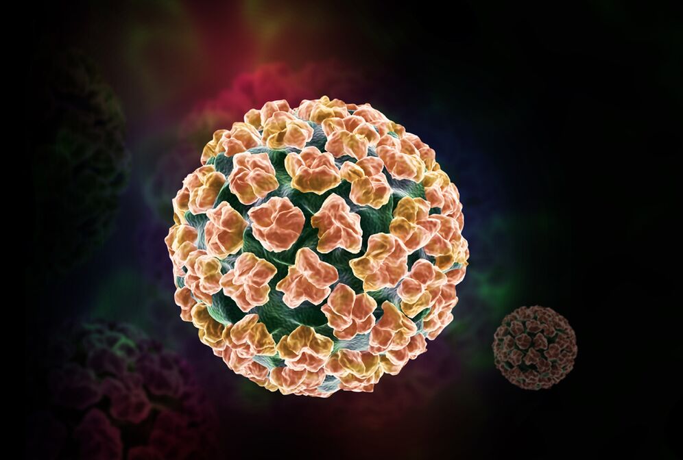 Human papillomavirus in the body